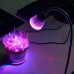 PROFI LED lampa na všetky rastliny, E27, 5W, ružovo-modrá